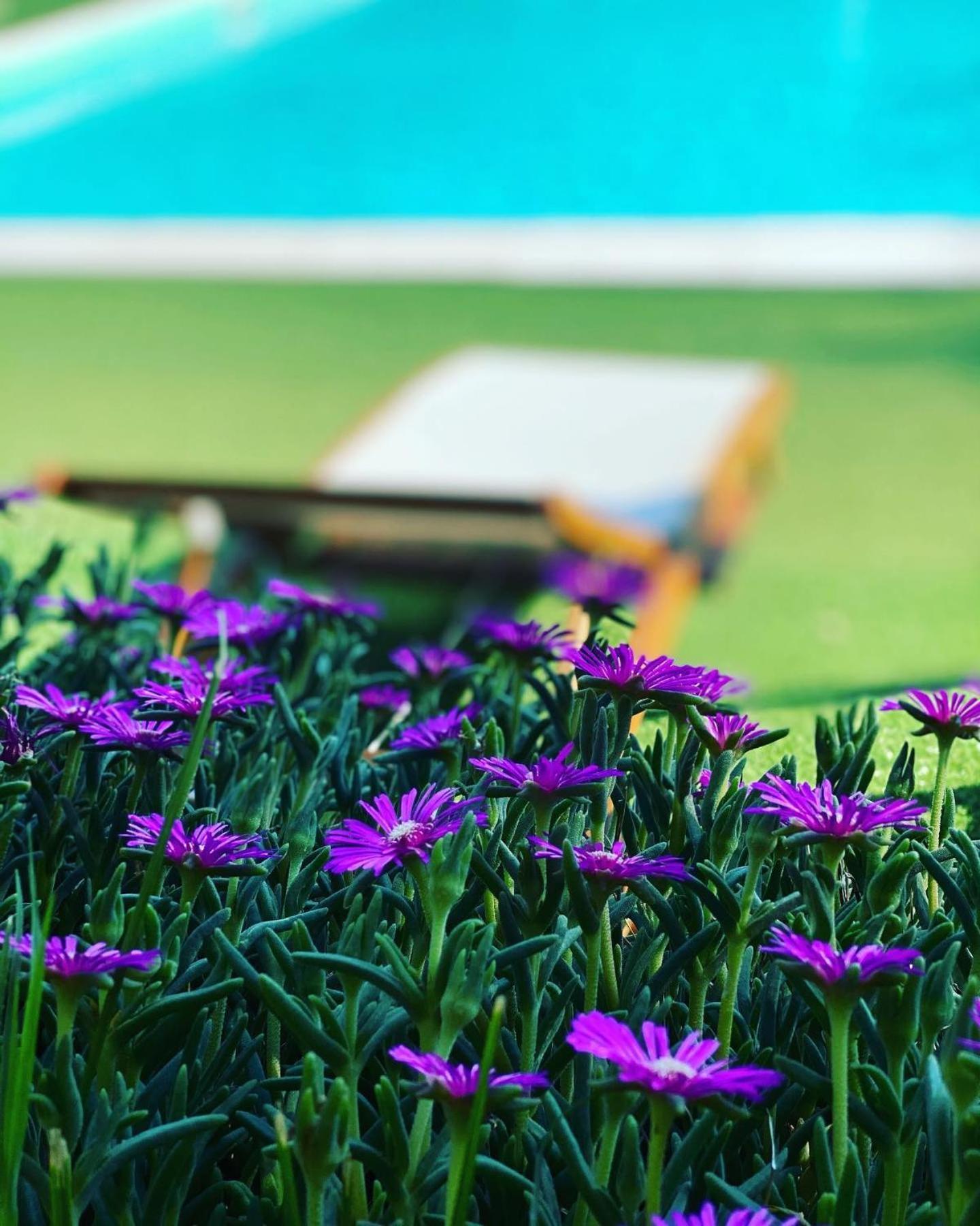 Hotel Borgo Antico ファブリアーノ エクステリア 写真